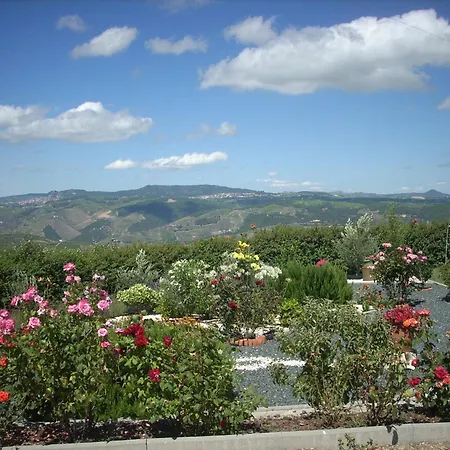 Casa Da Jesus Hébergement de vacances Provesende