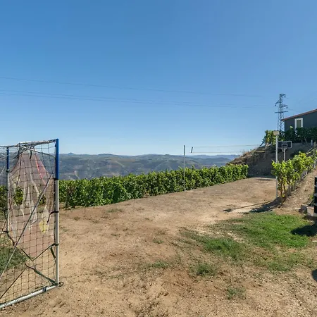 Casa Da Jesus Hébergement de vacances Provesende